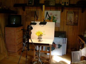 Studio with Camera, Lighting and, Flowers in a Vase