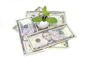 dollars-with-mint-plant-min