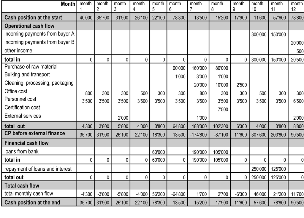 Cash Flow Example – Backbone America