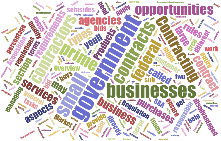 Government Procurement Word Cloud