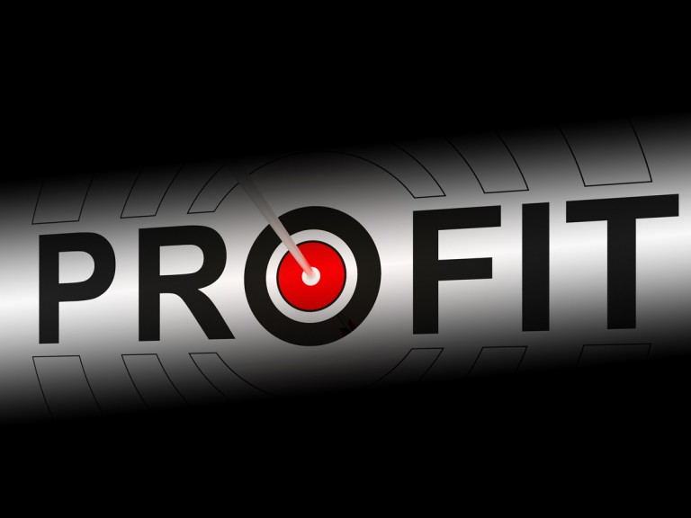 Profit Shows Earning Income And Investment Return