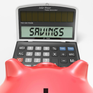 Savings Calculator with Pig