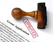 Grant Application Form for Small Business