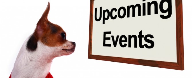 Small Business Marketing Ideas: Upcoming Events